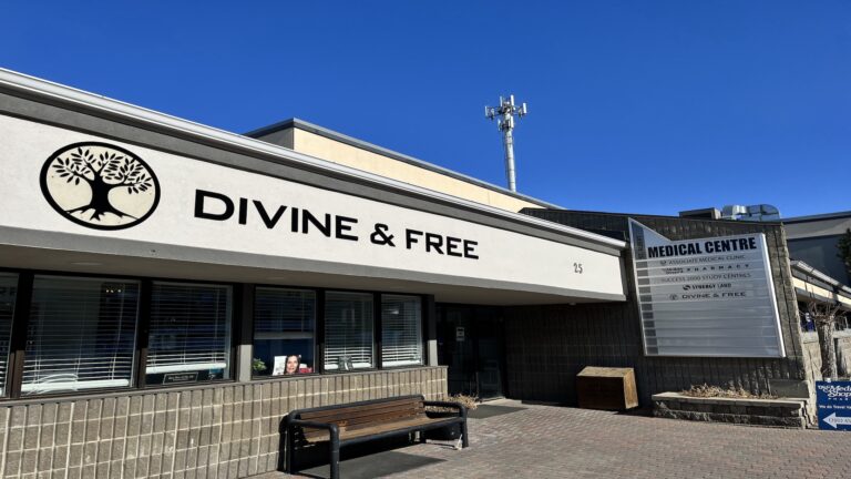 Perron District Divine Free 768x432